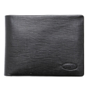BRICS,  , bh309202-001